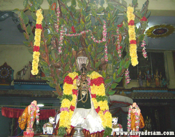 Sri Varadharajar Punyakoti Vimanam, Aminjikarai Temple
